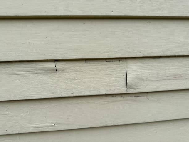 Best Siding Removal and Disposal  in South Gull Lake, MI